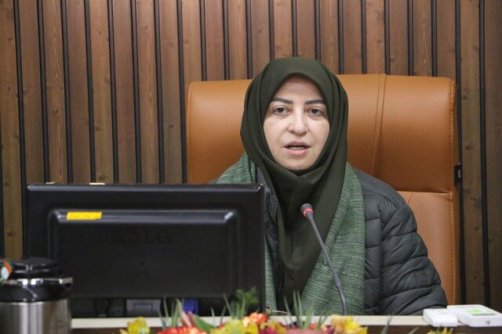 سفر معاون رئیس‌جمهور به ورامین جهت بازدید از چرمشهر و تالاب بندعلیخان