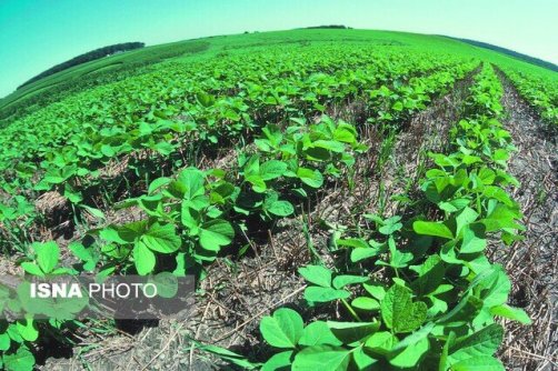 رونمایی از ۶ محصول دانش‌بنیان حوزه کشاورزی در اولین رویداد «نمادیران»