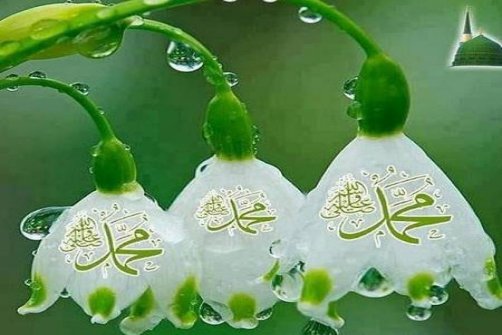 یا مهدی